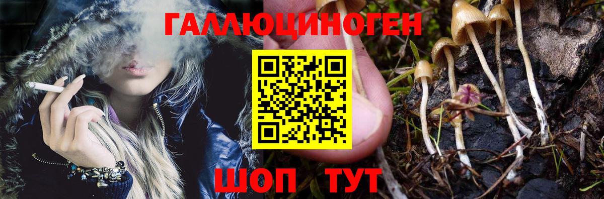 Галлюциногенные грибы Psilocybine cubensis  Вход с VPN  Вольск 