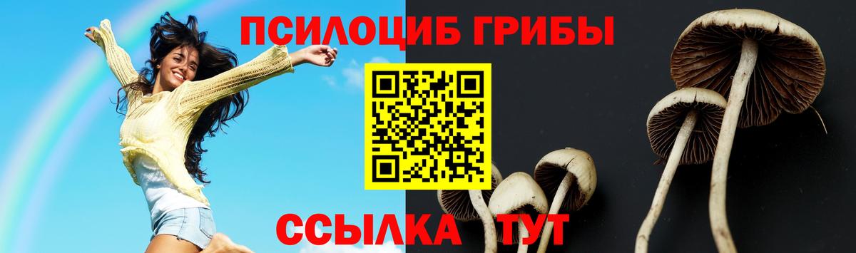 Псилоцибиновые грибы Magic Shrooms Вольск